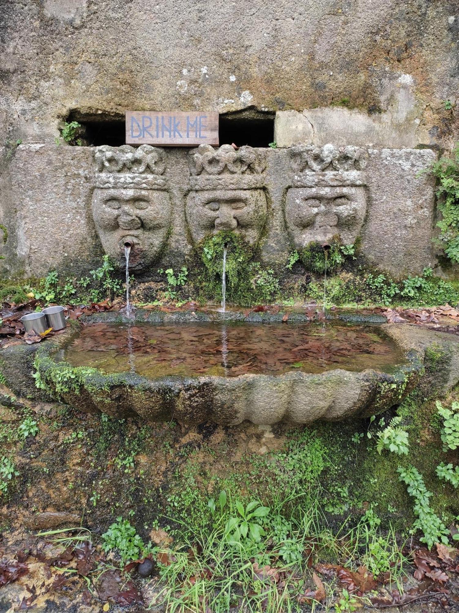 Associacao Quinta Das Relvas Branca Exterior foto